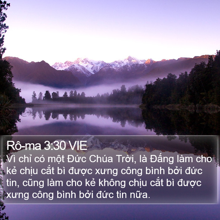 Rô-ma 3:30 VIE Bible Study