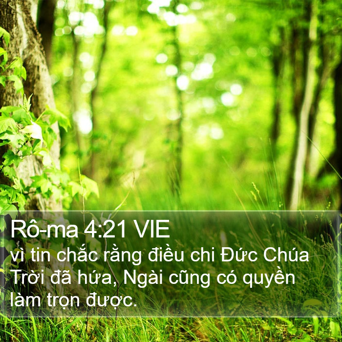 Rô-ma 4:21 VIE Bible Study