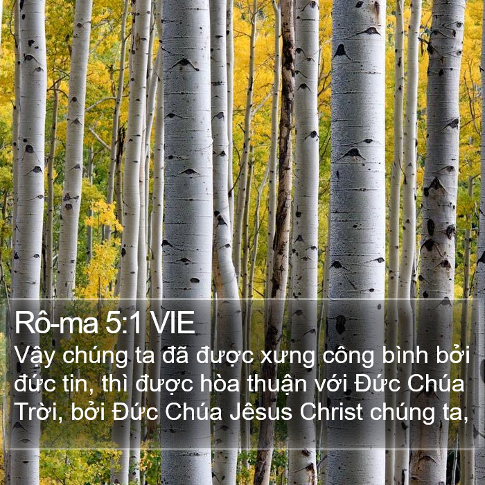 Rô-ma 5:1 VIE Bible Study