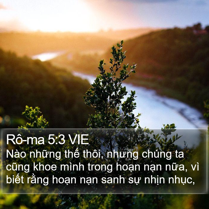 Rô-ma 5:3 VIE Bible Study