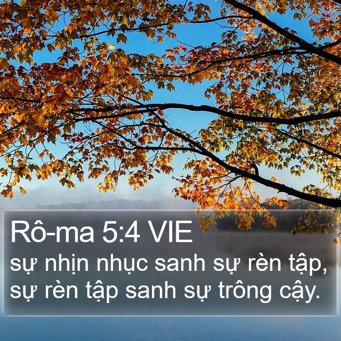 Rô-ma 5:4 VIE Bible Study