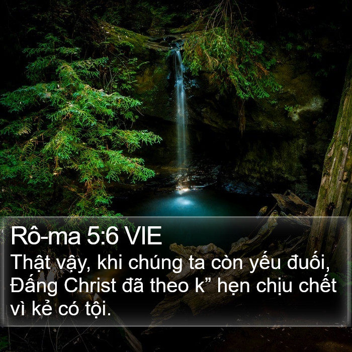 Rô-ma 5:6 VIE Bible Study