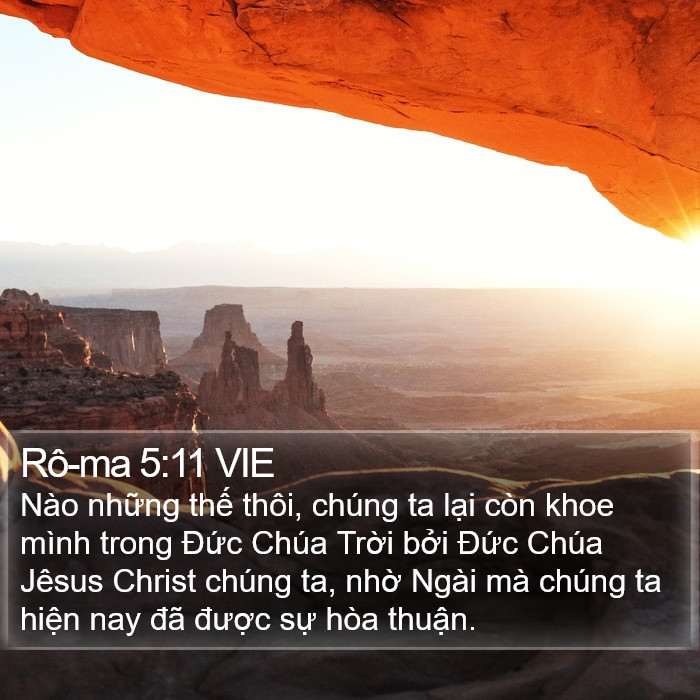 Rô-ma 5:11 VIE Bible Study