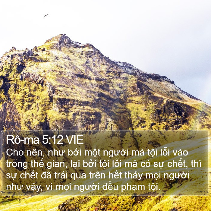 Rô-ma 5:12 VIE Bible Study