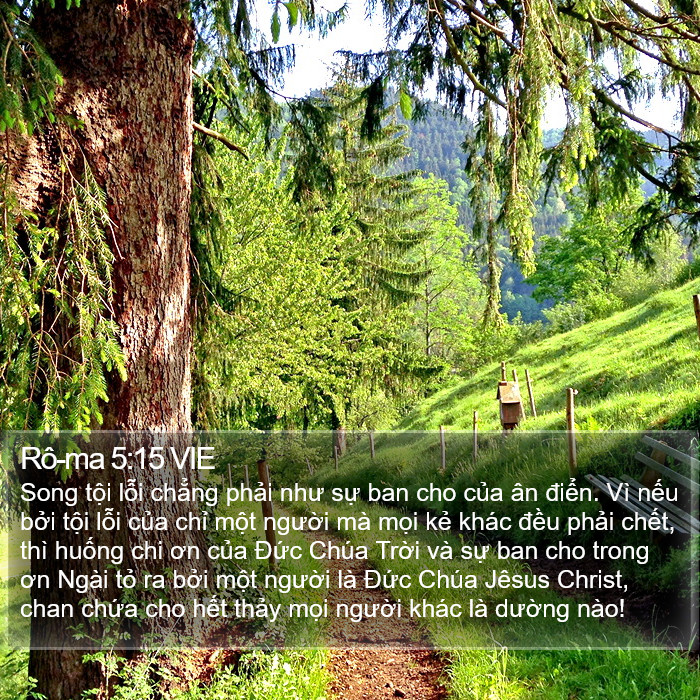 Rô-ma 5:15 VIE Bible Study