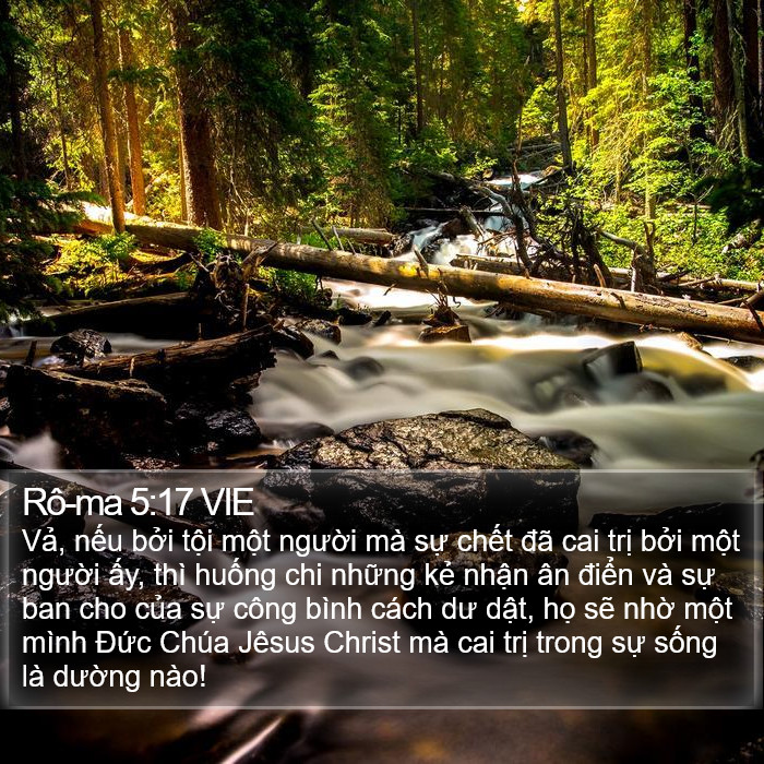 Rô-ma 5:17 VIE Bible Study