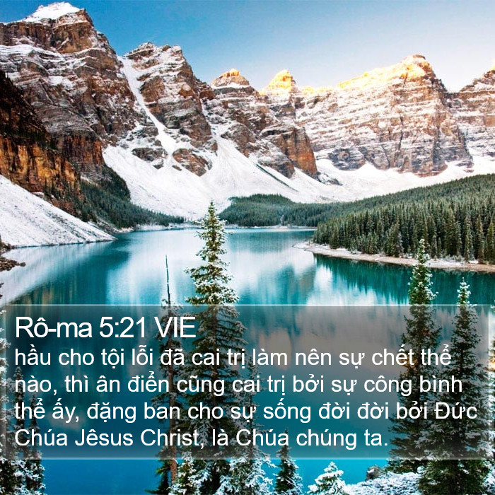 Rô-ma 5:21 VIE Bible Study