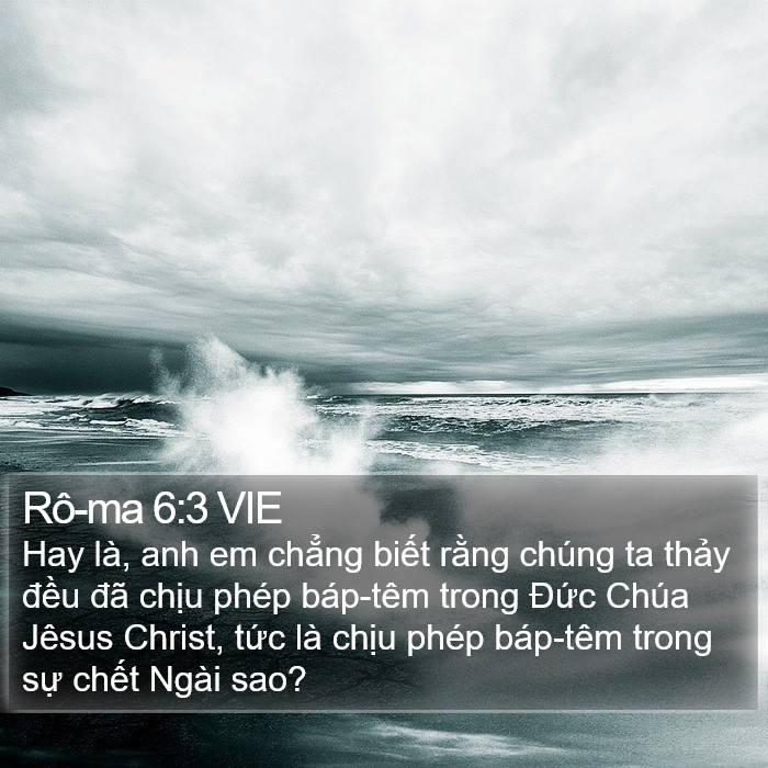 Rô-ma 6:3 VIE Bible Study