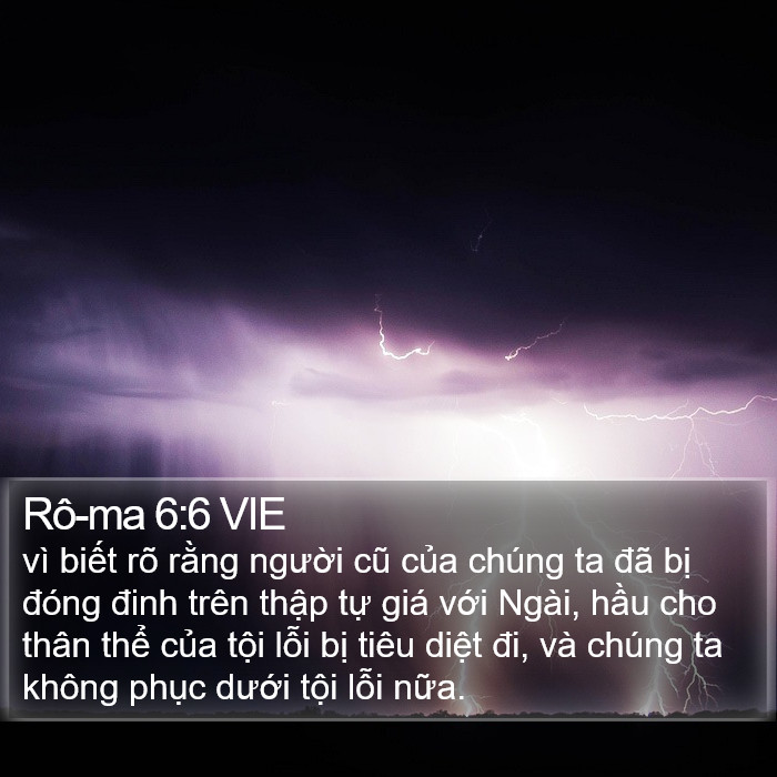 Rô-ma 6:6 VIE Bible Study