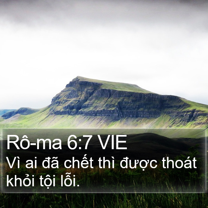Rô-ma 6:7 VIE Bible Study