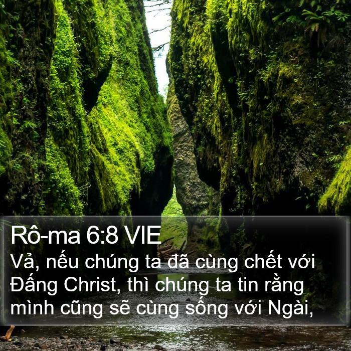 Rô-ma 6:8 VIE Bible Study