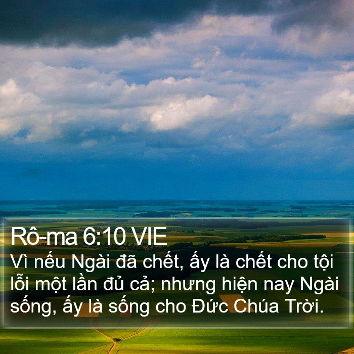 Rô-ma 6:10 VIE Bible Study