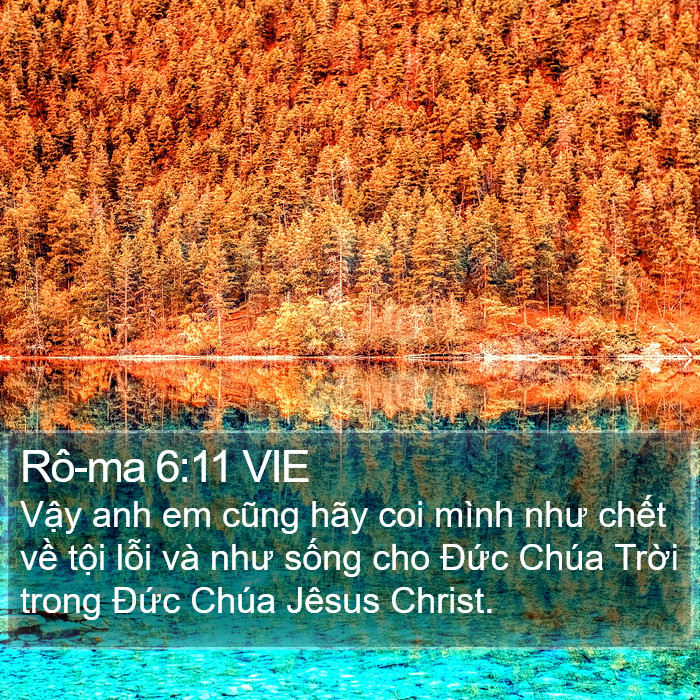 Rô-ma 6:11 VIE Bible Study
