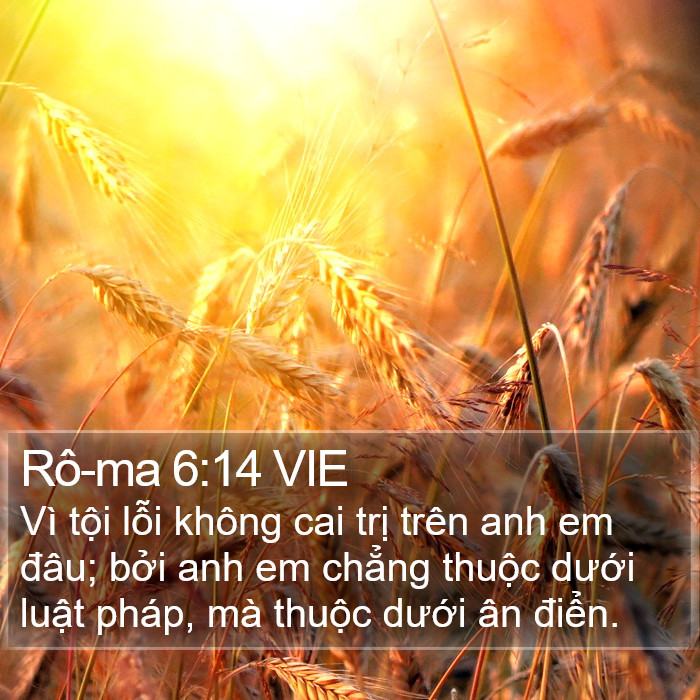 Rô-ma 6:14 VIE Bible Study