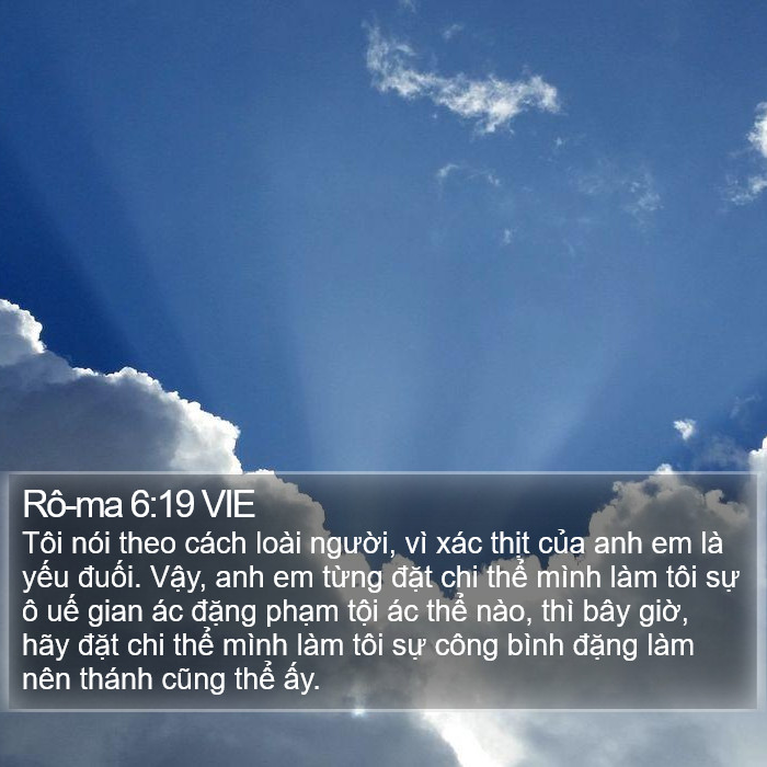 Rô-ma 6:19 VIE Bible Study
