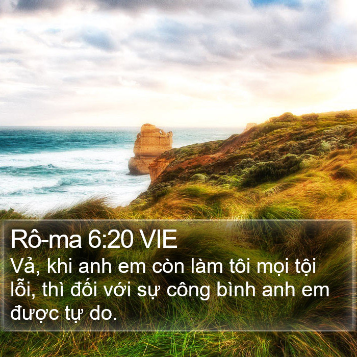 Rô-ma 6:20 VIE Bible Study