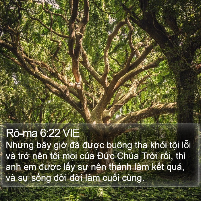 Rô-ma 6:22 VIE Bible Study