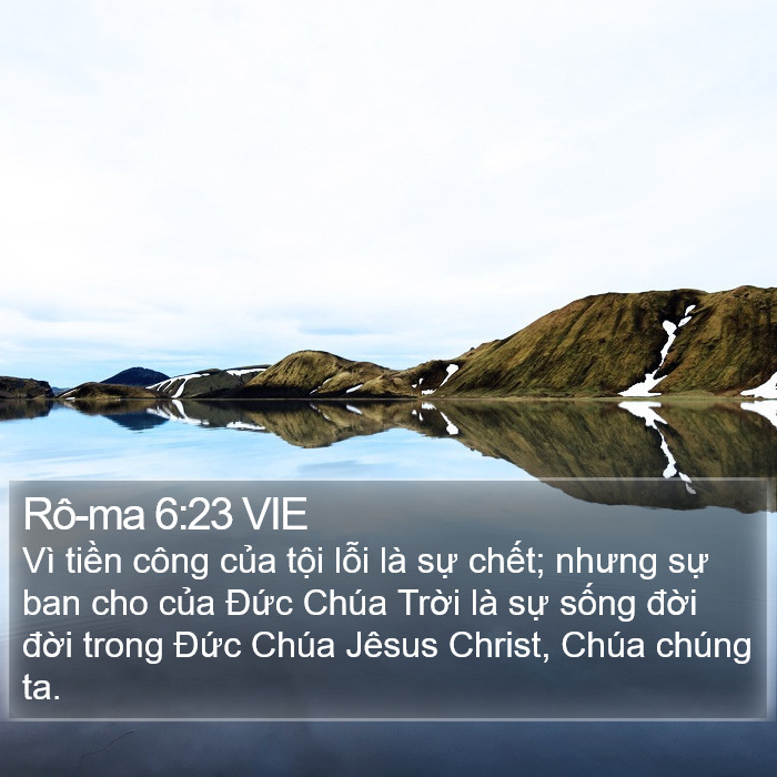 Rô-ma 6:23 VIE Bible Study