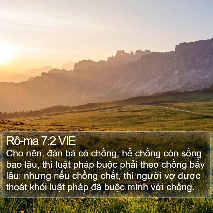 Rô-ma 7:2 VIE Bible Study