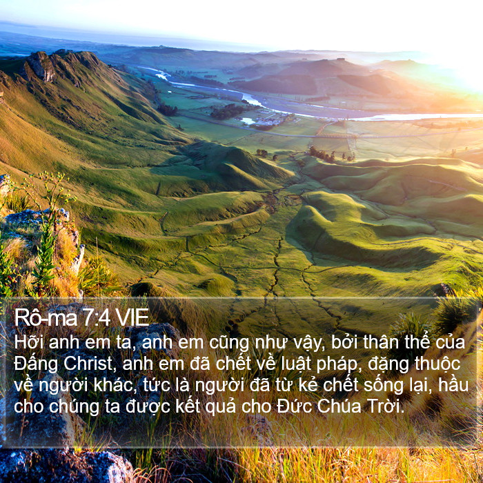 Rô-ma 7:4 VIE Bible Study