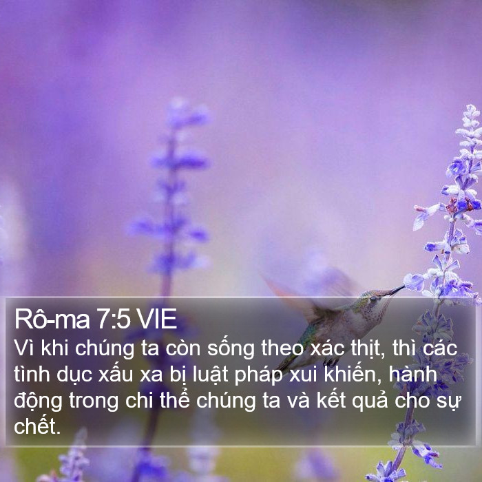 Rô-ma 7:5 VIE Bible Study