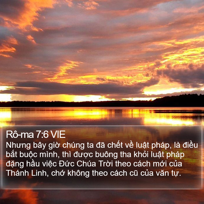 Rô-ma 7:6 VIE Bible Study
