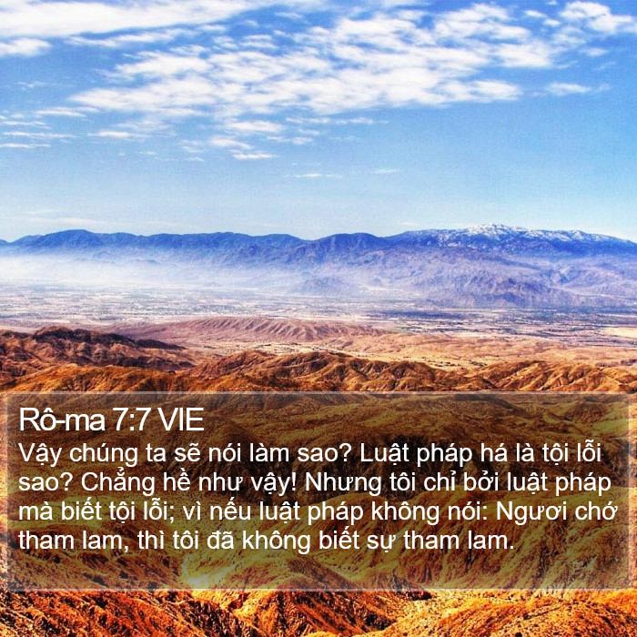 Rô-ma 7:7 VIE Bible Study