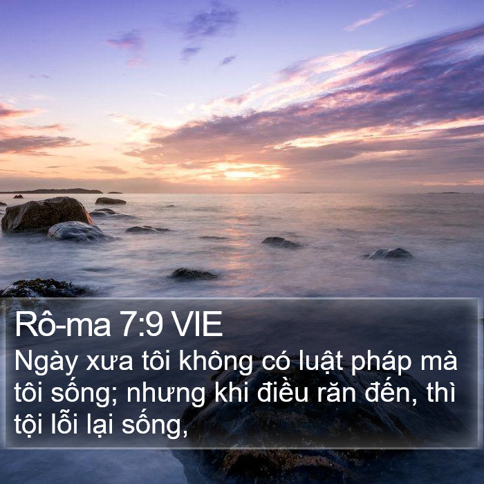 Rô-ma 7:9 VIE Bible Study