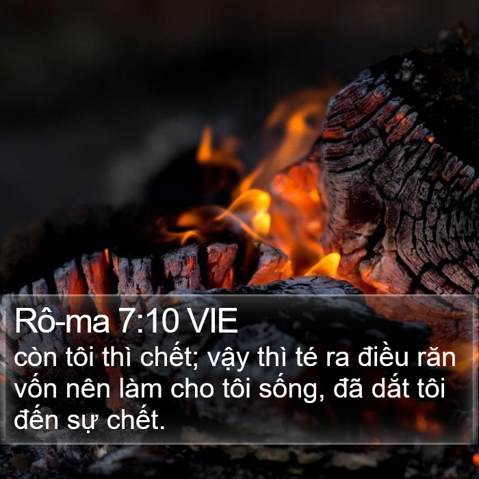 Rô-ma 7:10 VIE Bible Study