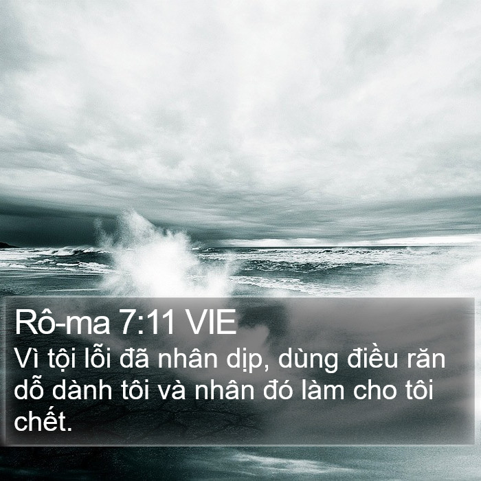 Rô-ma 7:11 VIE Bible Study