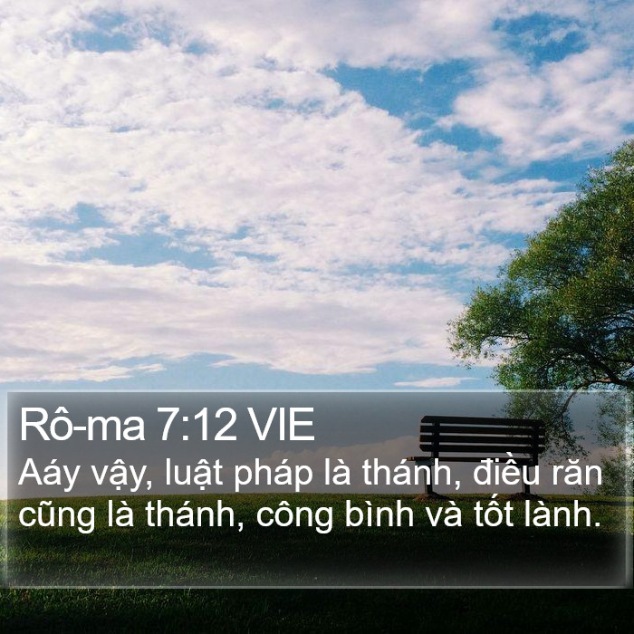 Rô-ma 7:12 VIE Bible Study