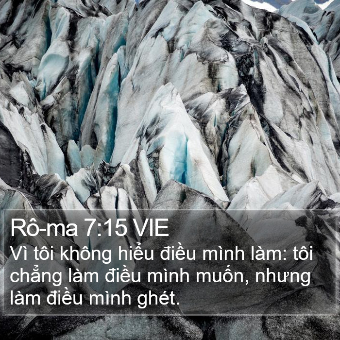 Rô-ma 7:15 VIE Bible Study