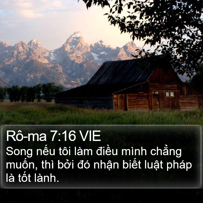 Rô-ma 7:16 VIE Bible Study
