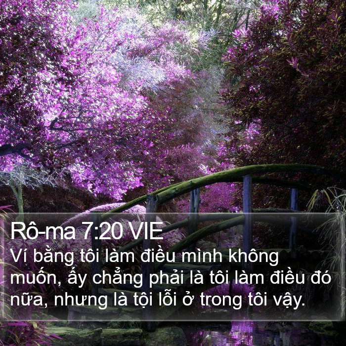 Rô-ma 7:20 VIE Bible Study