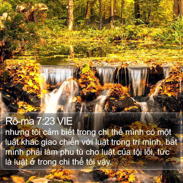 Rô-ma 7:23 VIE Bible Study