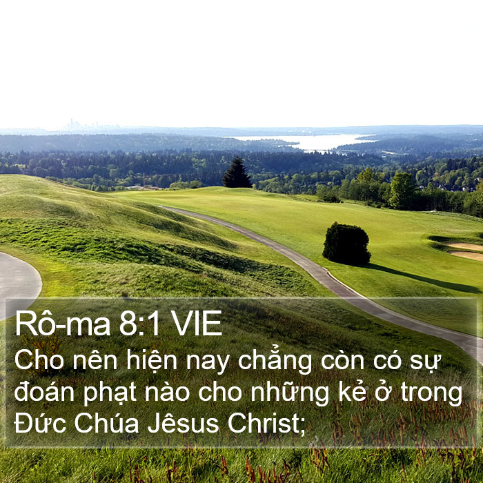 Rô-ma 8:1 VIE Bible Study