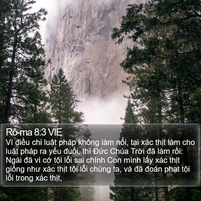 Rô-ma 8:3 VIE Bible Study
