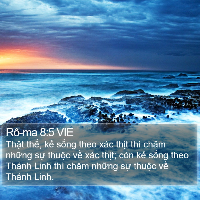 Rô-ma 8:5 VIE Bible Study