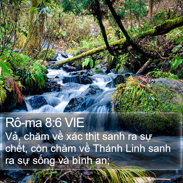 Rô-ma 8:6 VIE Bible Study