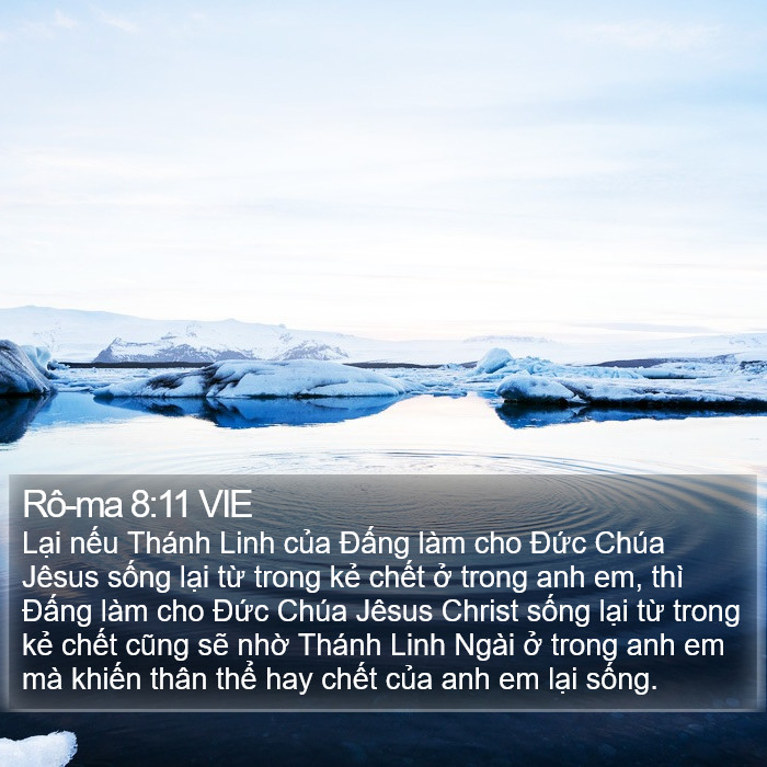 Rô-ma 8:11 VIE Bible Study