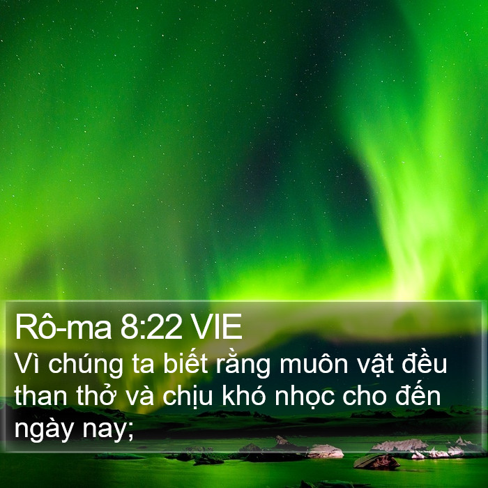 Rô-ma 8:22 VIE Bible Study
