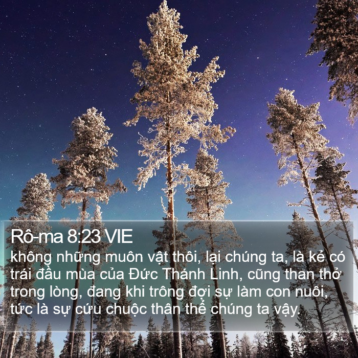 Rô-ma 8:23 VIE Bible Study