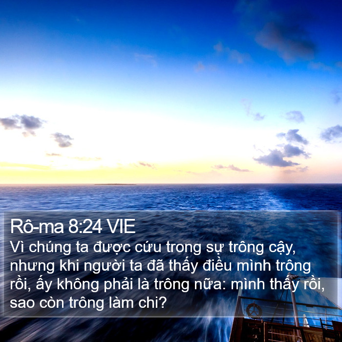 Rô-ma 8:24 VIE Bible Study