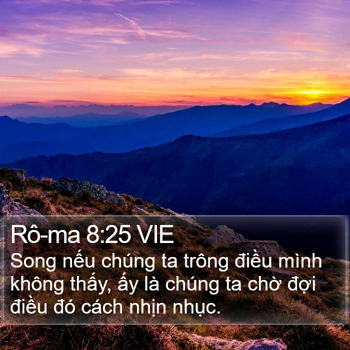 Rô-ma 8:25 VIE Bible Study