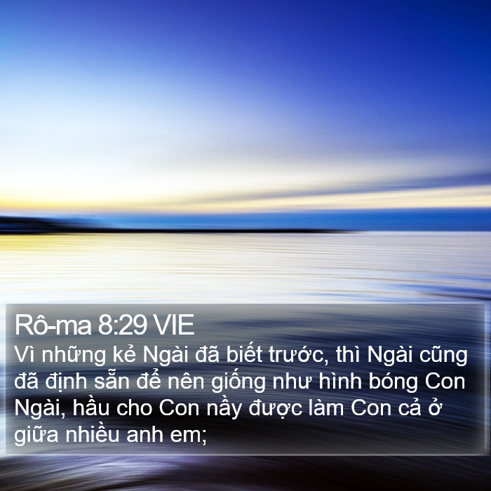 Rô-ma 8:29 VIE Bible Study