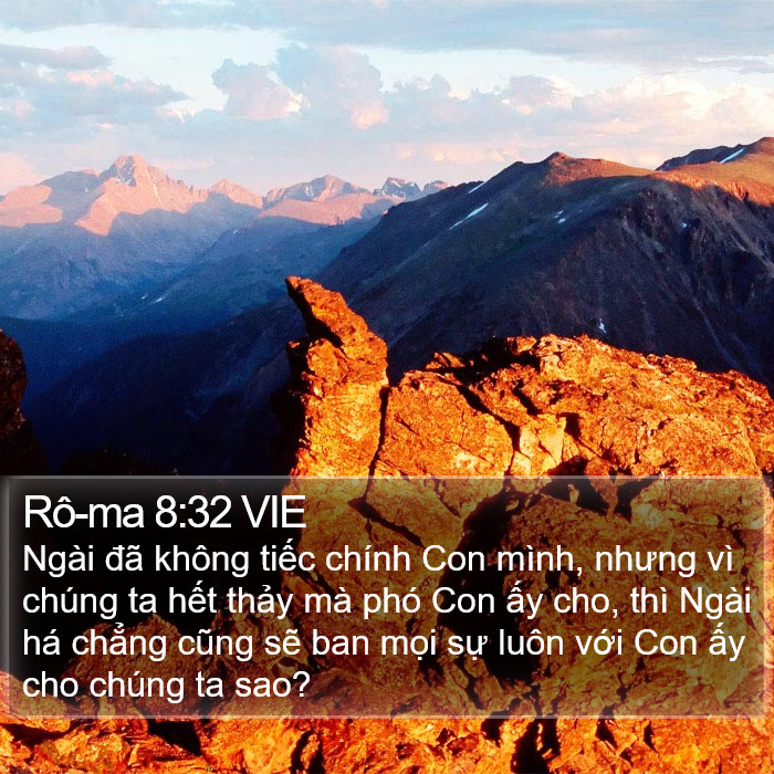 Rô-ma 8:32 VIE Bible Study