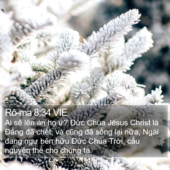 Rô-ma 8:34 VIE Bible Study