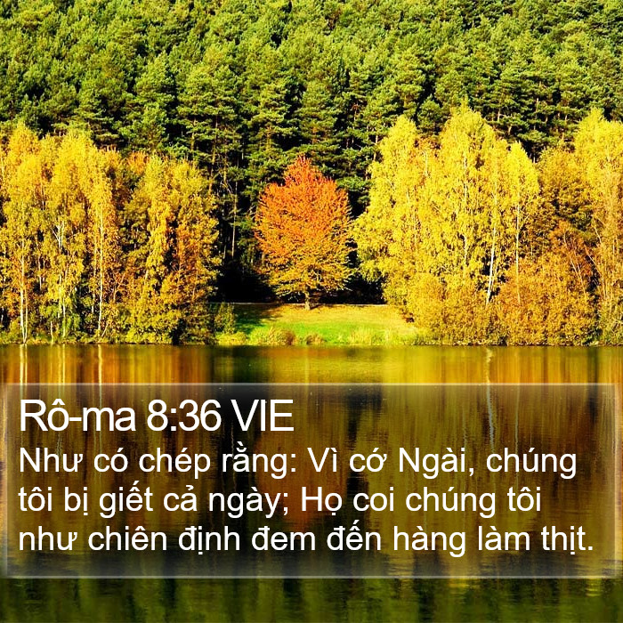 Rô-ma 8:36 VIE Bible Study