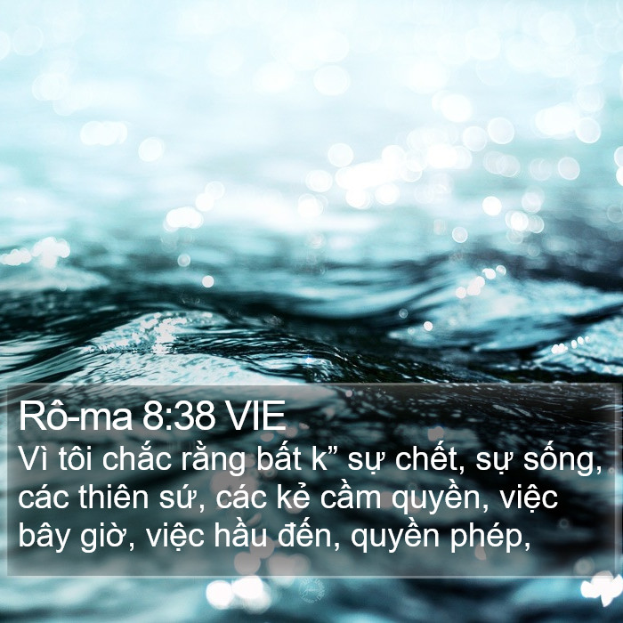 Rô-ma 8:38 VIE Bible Study