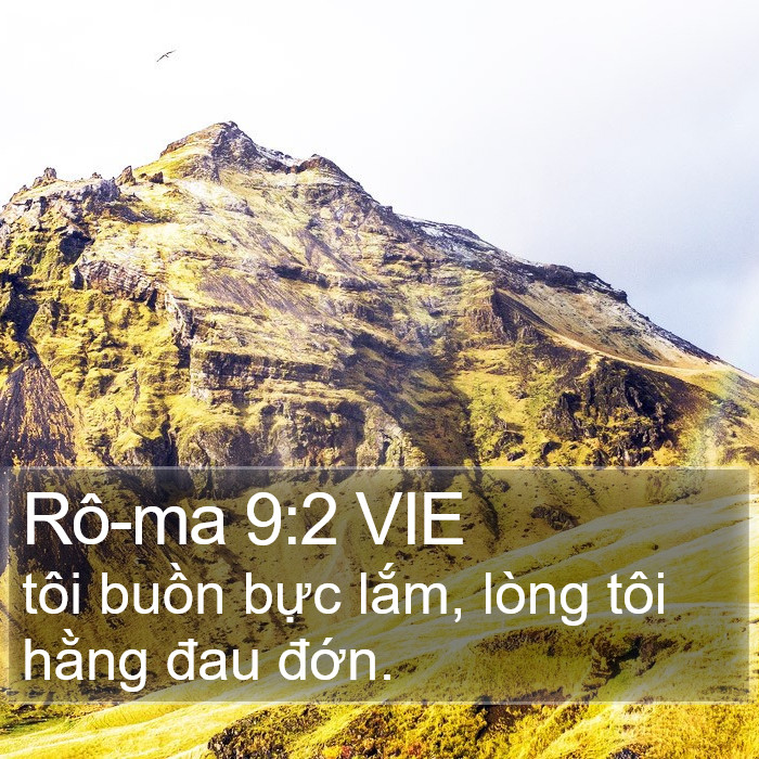 Rô-ma 9:2 VIE Bible Study